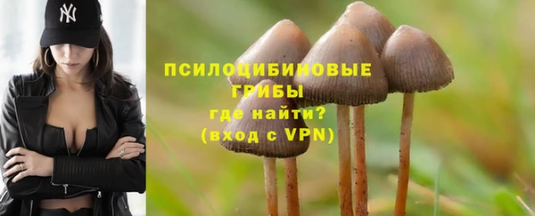 шишки Алексин