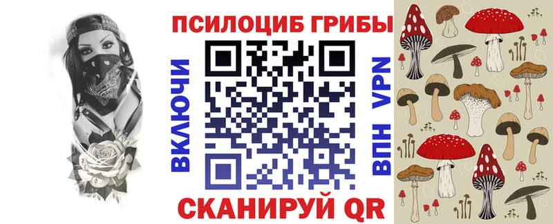 Псилоцибиновые грибы мицелий  Саки 