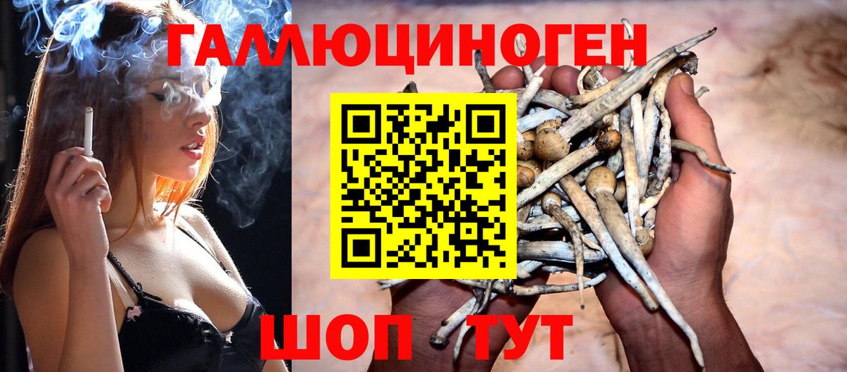 Псилоцибиновые грибы мухоморы Саки