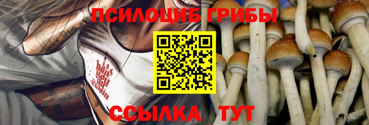 Саки  Cocaine  МЕФ кристаллы  Экстази  Вход с VPN  Гашиш 