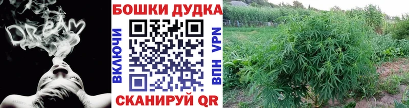 ОМГ ОМГ онион  закладка  Саки  Марихуана SATIVA & INDICA 